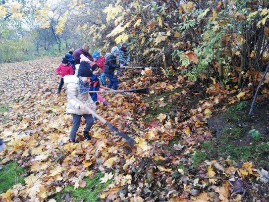 Grafika #3: Gr II Jesienne Porządki