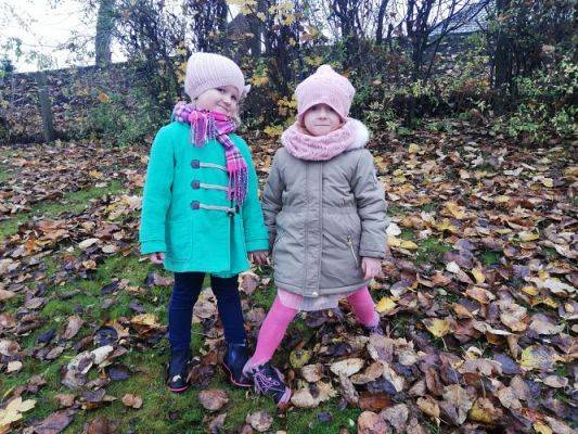 Grafika #4: Gr II Jesienne Porządki