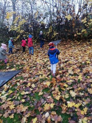 Grafika #5: Gr II Jesienne Porządki