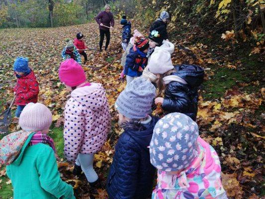 Grafika #6: Gr II Jesienne Porządki