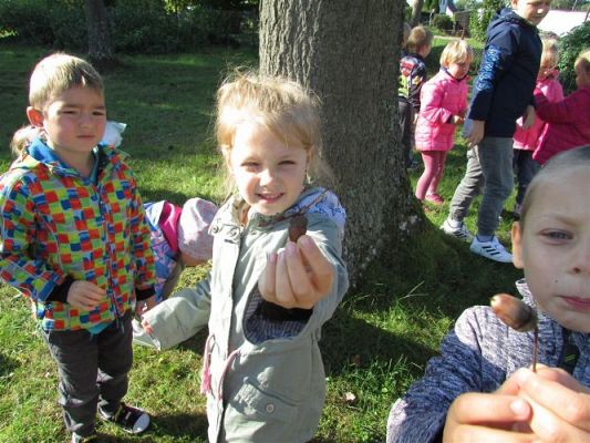 Grafika #0: 28.09.2020 W poszukiwaniu jesieni