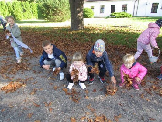 Grafika #14: 28.09.2020 W poszukiwaniu jesieni