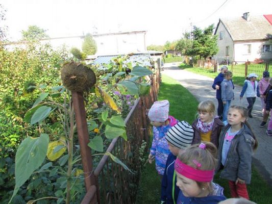 Grafika #19: 28.09.2020 W poszukiwaniu jesieni