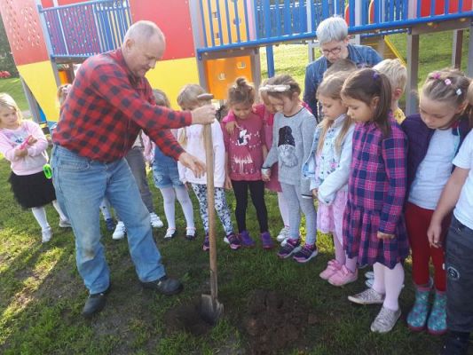 Grafika #0: 23.09.2020 Sadzenie roślin w ogrodzie przedszkolnym gr.III