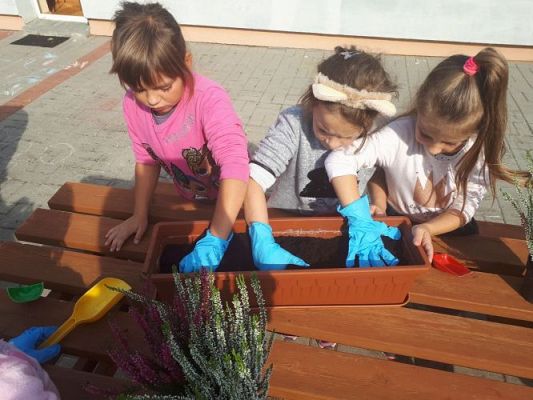 Grafika #1: 23.09.2020 Sadzenie roślin w ogrodzie przedszkolnym gr.III