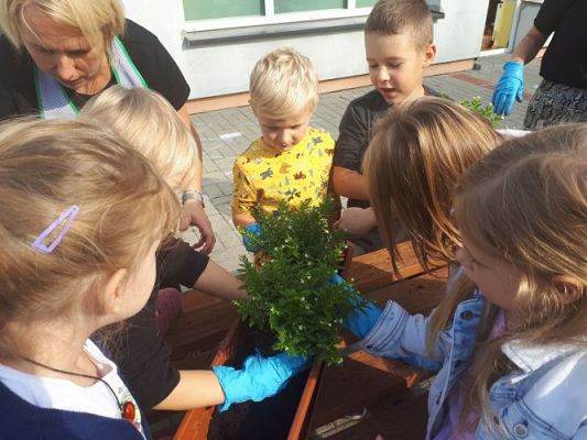 Grafika #2: 23.09.2020 Sadzenie roślin w ogrodzie przedszkolnym gr.III