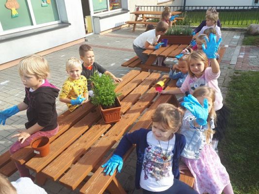 Grafika #3: 23.09.2020 Sadzenie roślin w ogrodzie przedszkolnym gr.III