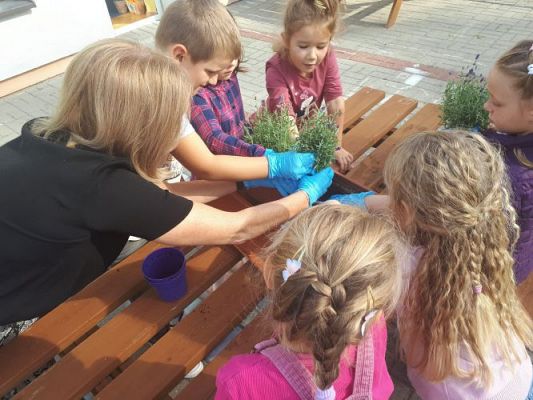 Grafika #6: 23.09.2020 Sadzenie roślin w ogrodzie przedszkolnym gr.III