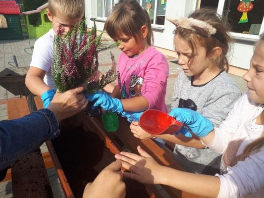 Grafika #7: 23.09.2020 Sadzenie roślin w ogrodzie przedszkolnym gr.III