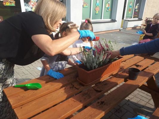 Grafika #9: 23.09.2020 Sadzenie roślin w ogrodzie przedszkolnym gr.III