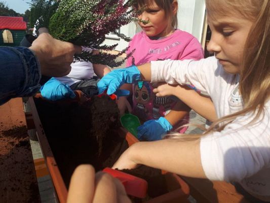 Grafika #11: 23.09.2020 Sadzenie roślin w ogrodzie przedszkolnym gr.III