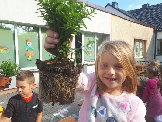 Grafika #15: 23.09.2020 Sadzenie roślin w ogrodzie przedszkolnym gr.III