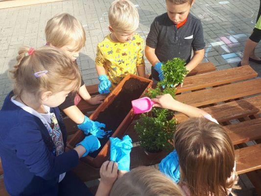 Grafika #17: 23.09.2020 Sadzenie roślin w ogrodzie przedszkolnym gr.III