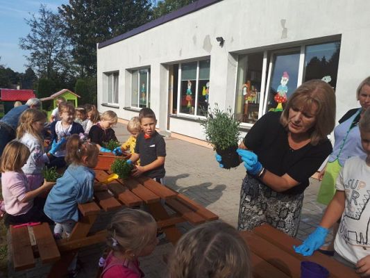 Grafika #18: 23.09.2020 Sadzenie roślin w ogrodzie przedszkolnym gr.III