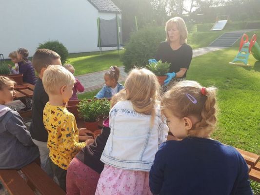 Grafika #20: 23.09.2020 Sadzenie roślin w ogrodzie przedszkolnym gr.III