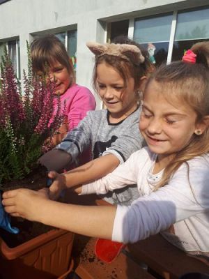 Grafika #21: 23.09.2020 Sadzenie roślin w ogrodzie przedszkolnym gr.III