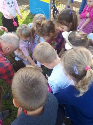 Grafika #22: 23.09.2020 Sadzenie roślin w ogrodzie przedszkolnym gr.III