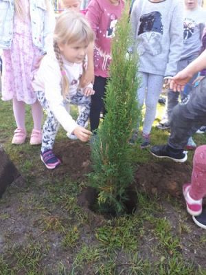 Grafika #24: 23.09.2020 Sadzenie roślin w ogrodzie przedszkolnym gr.III