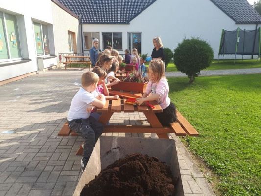 Grafika #26: 23.09.2020 Sadzenie roślin w ogrodzie przedszkolnym gr.III