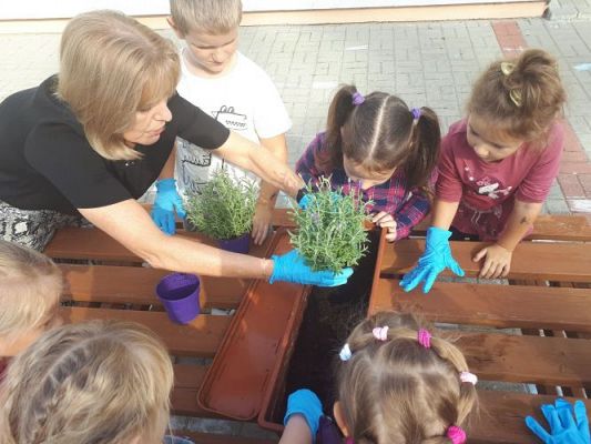 Grafika #28: 23.09.2020 Sadzenie roślin w ogrodzie przedszkolnym gr.III