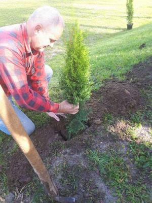 Grafika #29: 23.09.2020 Sadzenie roślin w ogrodzie przedszkolnym gr.III