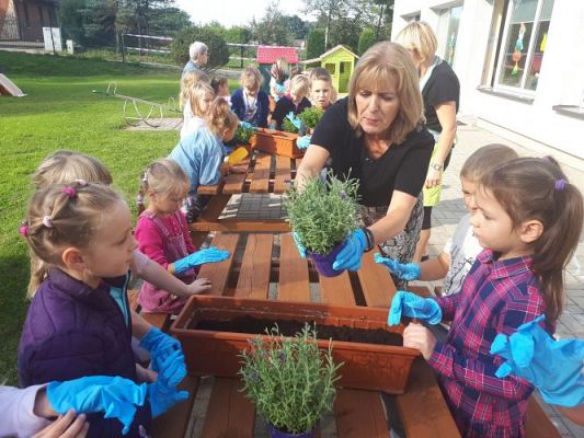 Grafika #30: 23.09.2020 Sadzenie roślin w ogrodzie przedszkolnym gr.III