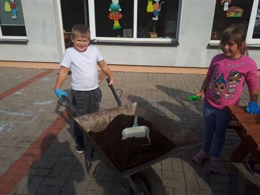 Grafika #31: 23.09.2020 Sadzenie roślin w ogrodzie przedszkolnym gr.III