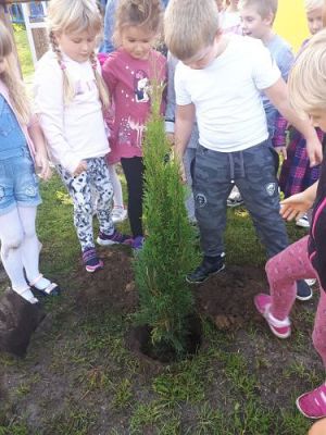 Grafika #32: 23.09.2020 Sadzenie roślin w ogrodzie przedszkolnym gr.III