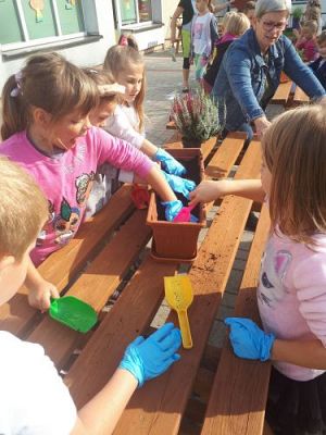 Grafika #33: 23.09.2020 Sadzenie roślin w ogrodzie przedszkolnym gr.III