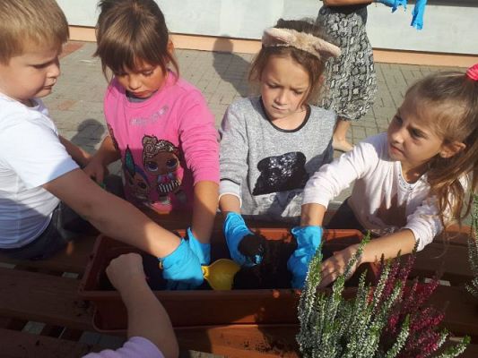 Grafika #36: 23.09.2020 Sadzenie roślin w ogrodzie przedszkolnym gr.III