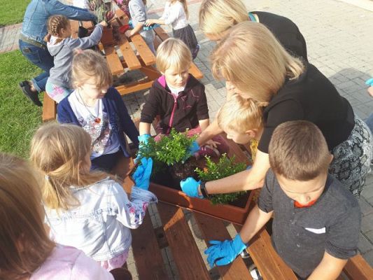 Grafika #40: 23.09.2020 Sadzenie roślin w ogrodzie przedszkolnym gr.III