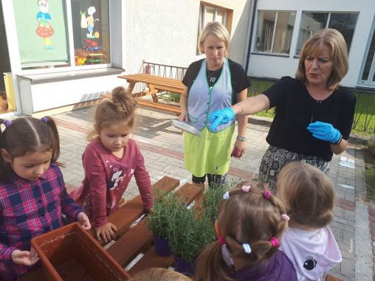 Grafika #41: 23.09.2020 Sadzenie roślin w ogrodzie przedszkolnym gr.III