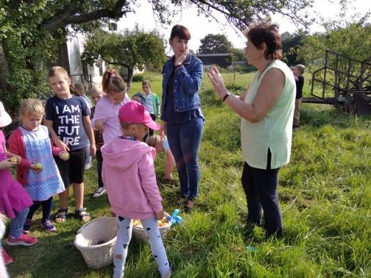 Grafika #3: 16.09.2020 Starszaki w sadzie i ogrodzie