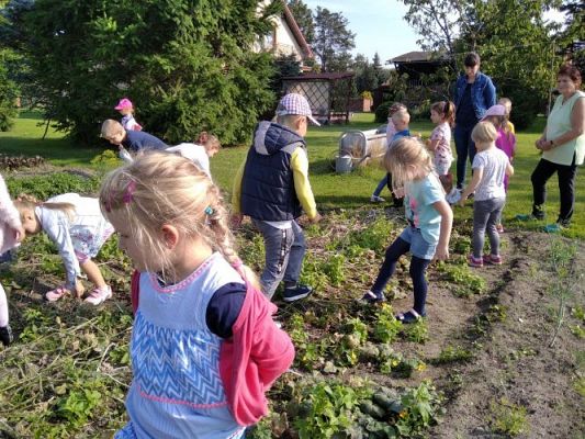 Grafika #5: 16.09.2020 Starszaki w sadzie i ogrodzie