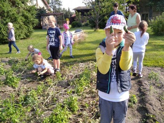 Grafika #8: 16.09.2020 Starszaki w sadzie i ogrodzie