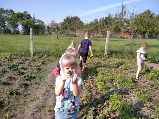 Grafika #12: 16.09.2020 Starszaki w sadzie i ogrodzie