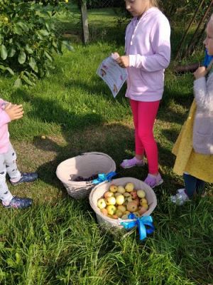 Grafika #13: 16.09.2020 Starszaki w sadzie i ogrodzie