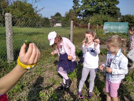 Grafika #15: 16.09.2020 Starszaki w sadzie i ogrodzie