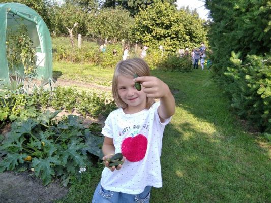 Grafika #18: 16.09.2020 Starszaki w sadzie i ogrodzie