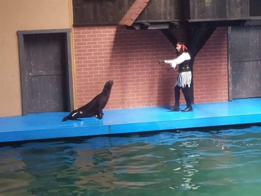 Grafika #12: 25.05.2022 Wycieczka do Sea Parku w Sarbsku cz. II