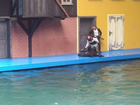 Grafika #24: 25.05.2022 Wycieczka do Sea Parku w Sarbsku cz. II