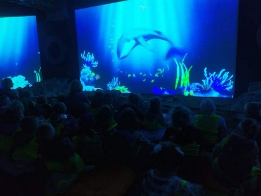 Grafika #36: 25.05.2022 Wycieczka do Sea Parku w Sarbsku cz. II