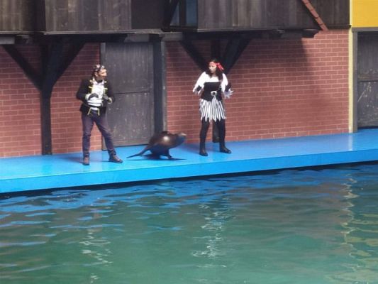 Grafika #62: 25.05.2022 Wycieczka do Sea Parku w Sarbsku cz. II