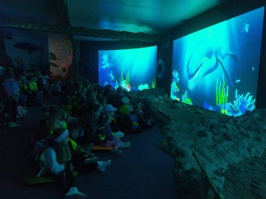 Grafika #76: 25.05.2022 Wycieczka do Sea Parku w Sarbsku cz. II