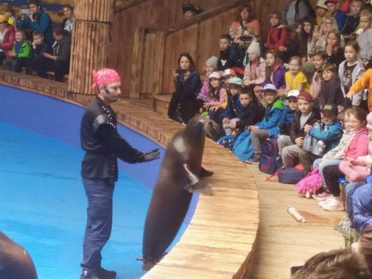 Grafika #84: 25.05.2022 Wycieczka do Sea Parku w Sarbsku cz. II
