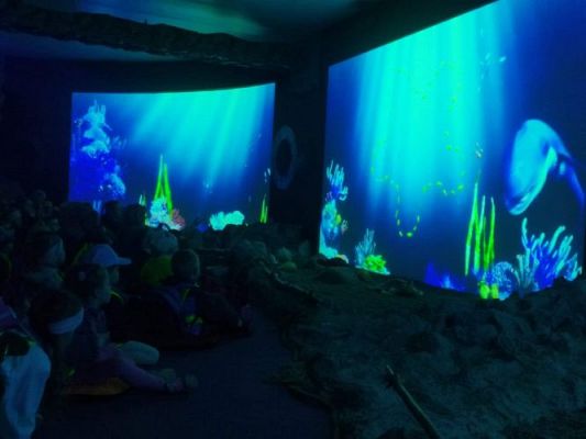 Grafika #87: 25.05.2022 Wycieczka do Sea Parku w Sarbsku cz. II