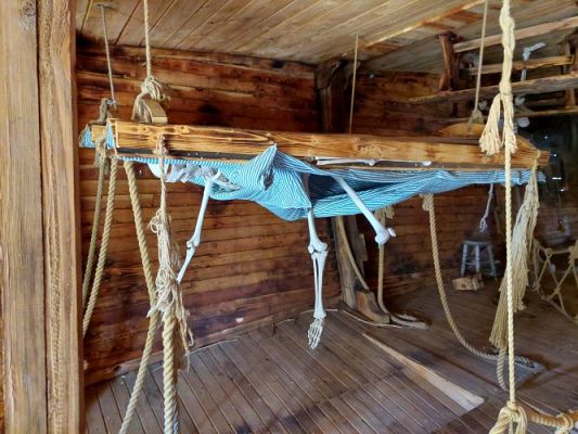 Grafika #19: 25.05.2022 Wycieczka do Sea Parku w Sarbsku cz. I