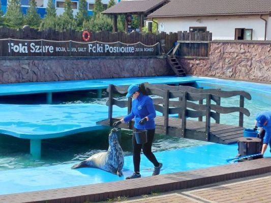 Grafika #36: 25.05.2022 Wycieczka do Sea Parku w Sarbsku cz. I