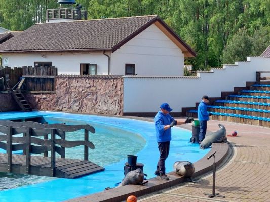 Grafika #38: 25.05.2022 Wycieczka do Sea Parku w Sarbsku cz. I