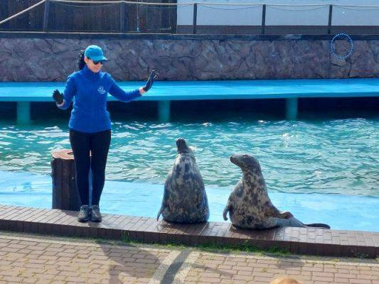 Grafika #39: 25.05.2022 Wycieczka do Sea Parku w Sarbsku cz. I